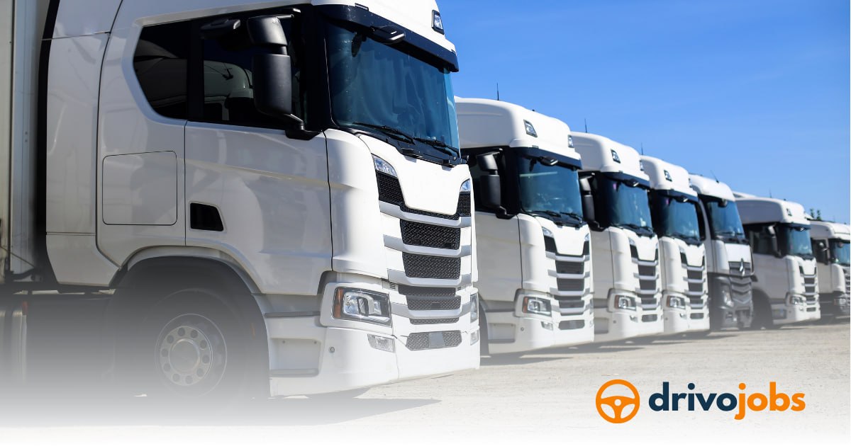 Working as a Truck Driver in Germany: A Complete Guide for EU Drivers